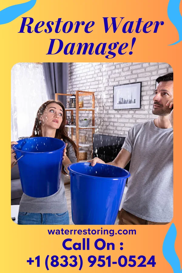 water restoration Coastal Water Works Masters Doylestown