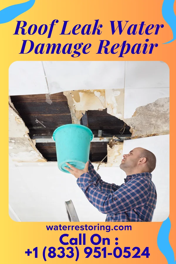 Roof Leak Water Damage Repair in Doylestown, OH