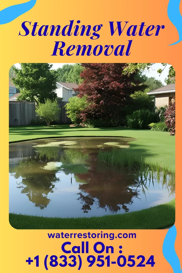 Standing Water Removal in Doylestown, OH